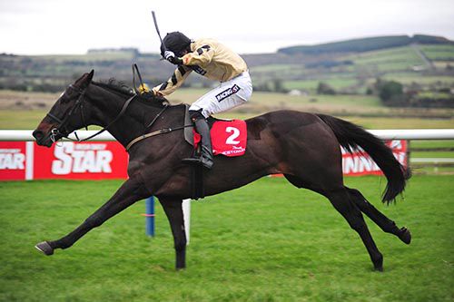 Black Hercules takes the bumper in Punchestown 