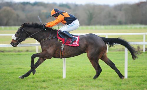 Montys Meadow scores at 6/1 in Cork's bumper