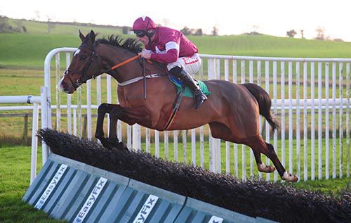 Arnaud measures the last well under Davy Russell at Downpatrick