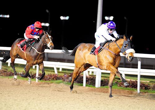 Our Manekineko stretches out under Leigh Roche to beat Reckless Lad