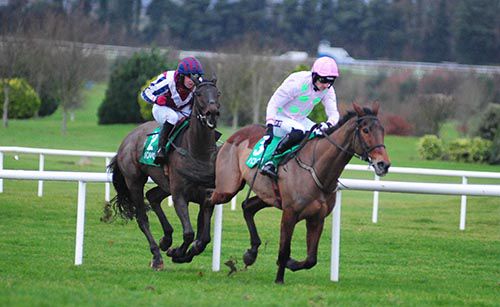 The incident in the bumper as Royal Caviar comes across Fine Rightly