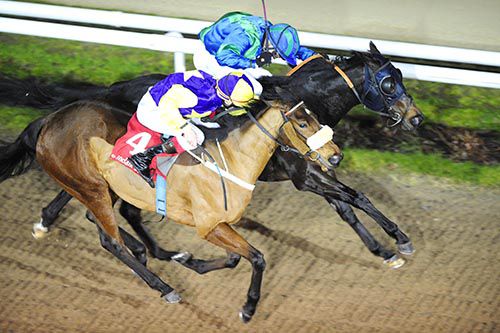 Hazledoc and Conor Hoban (nearside) beat Fight U For It 