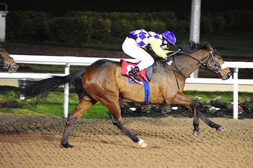 Vector Force and Colin Keane