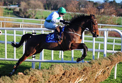 Western Boy takes off at the last under David Casey