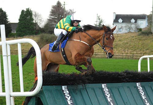 Indian File jumps the last under Alan Crowe