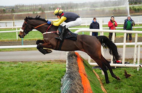 Chicago and Patrick Mangan in winning form at Limerick