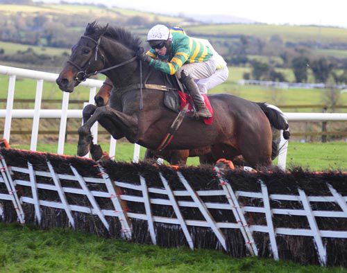 Gilgamboa (Mark Walsh) jumps the last from Rightdownthemiddle in the fifth at Punchestown