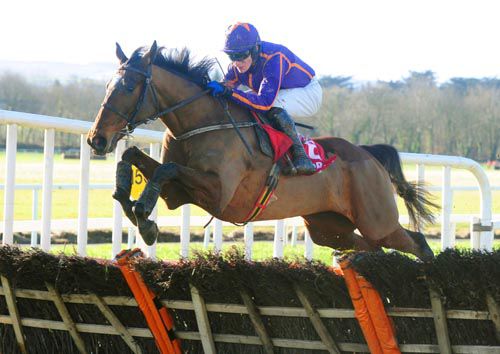 Wicklow Brave (Paul Townend) clears the last for an easy win