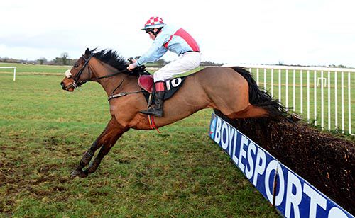 Carrigeen Kariega clears the last on her way to an easy victory under John Lalor for his father Dick