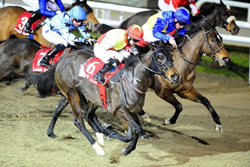Catwilldo (No.6) and Gary Phillips land the sprint handicap at Dundalk