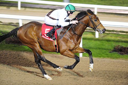 Deep Speed records a runaway win under Conor Hoban