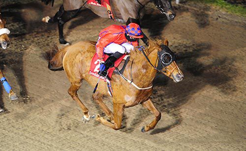 Misty Lane and Joseph O'Brien
