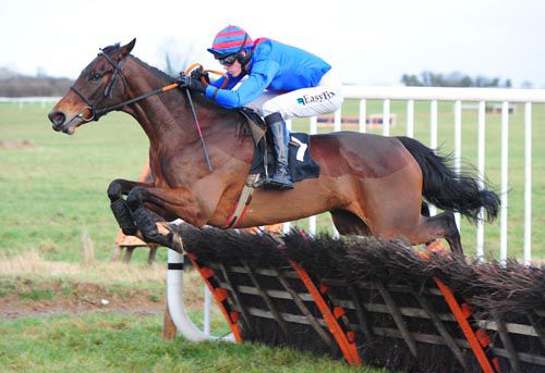 Kylestyle and Andrew McNamara jump the final hurdle