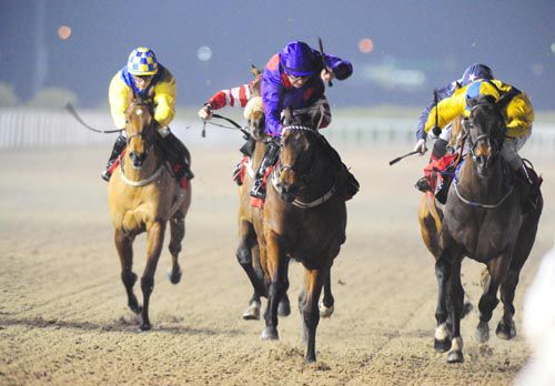 Wishyouwerehere (purple, centre) got up to 'do' Count Of Carabass (rail)