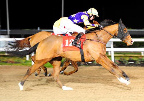 Lily's Prince got up to beat Runaiocht at Dundalk