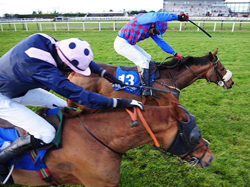 Tudor Fashion (far side) beats Hell Cat Maggie