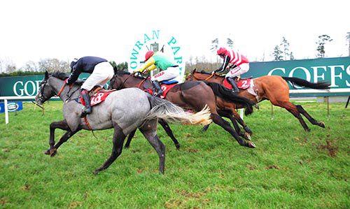 The Winkler (near side) just beats Sizing Granite (centre) and Asitsohappens