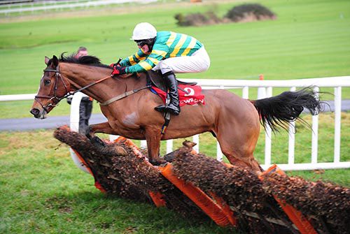 Never Enough Time and Ger Fox jump the last