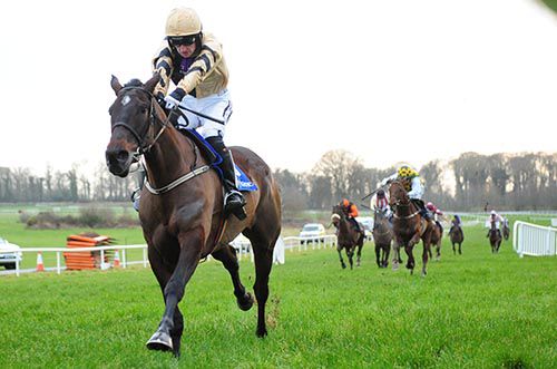 Black Hercules takes the bumper in impressive fashion