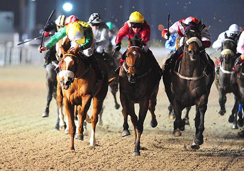 Captain Cullen (red & white, right) beat Danseur De Feu (left) and Akasaka (centre) at Dundalk
