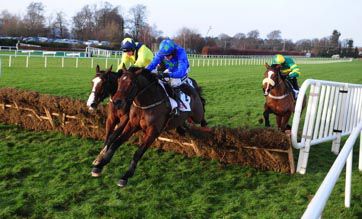 Hurricane Fly
