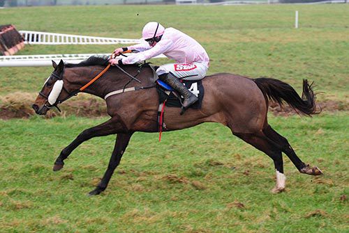 Synchronicity stretches for the line under Davy Russell at Thurles