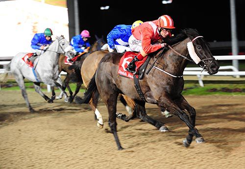 Sylvan Mist lands the first at Dundalk under Pat Smullen