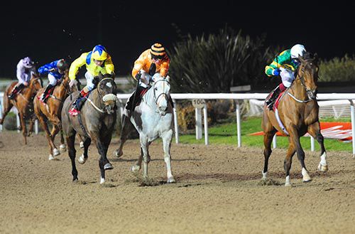 Shield (right) sees off Dalasiri (grey) and Marty's Magic