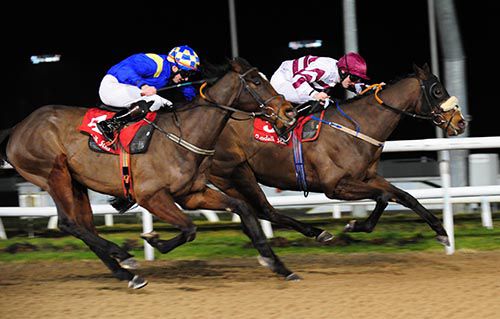 Attraction Ticket (far-side under Billy Lee) held off The Ring Is King at Dundalk