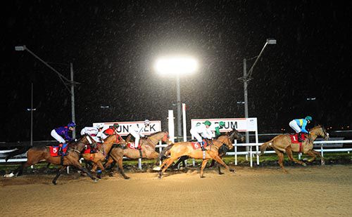 Pivot Bridge (number one) in action during the finale at Dundalk