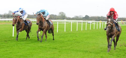 Man With Van (right) beating Seriatim (left) and Owennacurra Milan