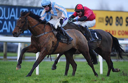 Red House Hill and Davy O'Leary win the bumper