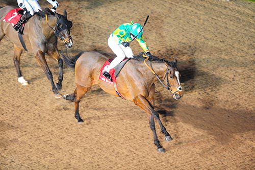 Stoichkhov and Ray Dawson win for trainer Michael Cleary 