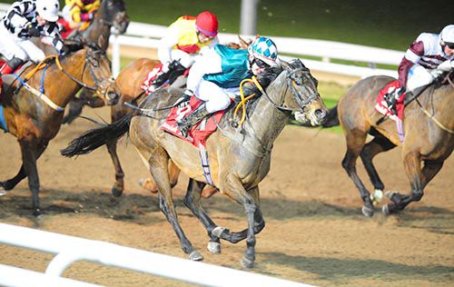 Hilary and Dylan Robinson win for trainer Gerry Stack 
