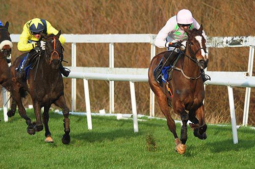 Vautour leads The Tullow Tank