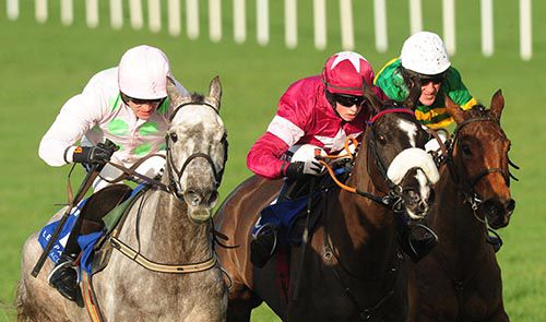 Ballycasey (left) leads Don Cossack and Carlingford Lough to the last fence