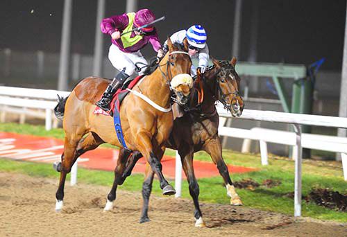 Undecided (Shane Kelly, right) saw off Bosstime (Conor Hoban) by a neck