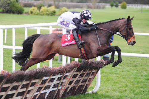 Dunguib and Brian O'Connell jump the last