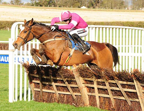 Don Poli and Bryan Cooper jump the final hurdle 