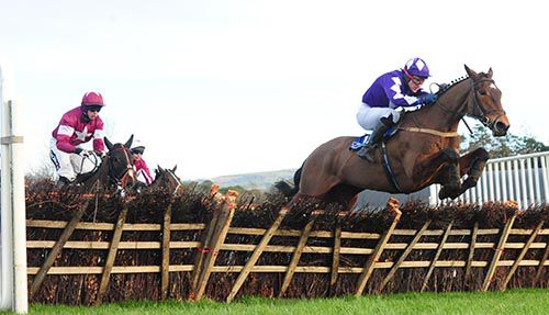 Daliyan and Colman Sweeney clear the last hurdle 