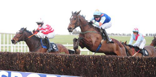 Lisrose and Jody McGarvey jump the final fence ahead of Caoimhe's Delight 