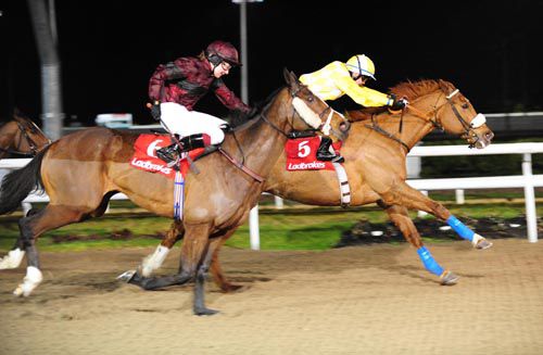 Captains Dilemma (inside) is pushed out by Gary Phillips to beat Tsar Paul and Ana O'Brien