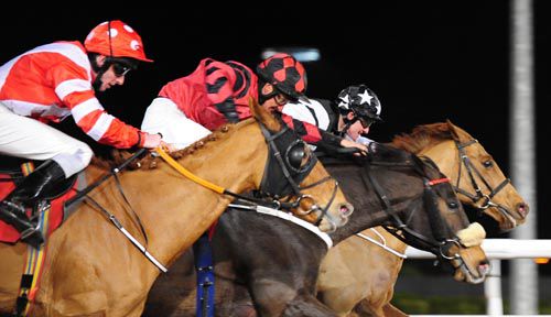 Clare Harrier (inside) just sees off Lord Kenmare (middle) with Cristy's Call in third