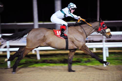 Well Insured is pushed out to victory by Ray Dawson