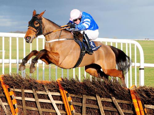 Giantofaman and Paul Carberry negotiate the last in style at Thurles