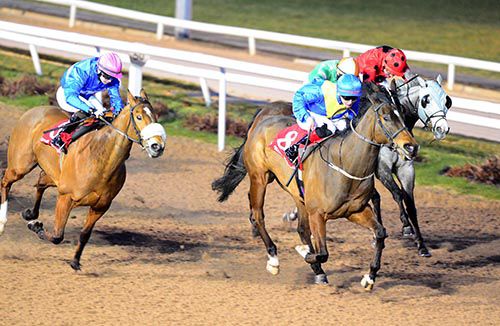 Strategic Heights (centre) beating Queen Grace (left) at Dundalk earlier this year