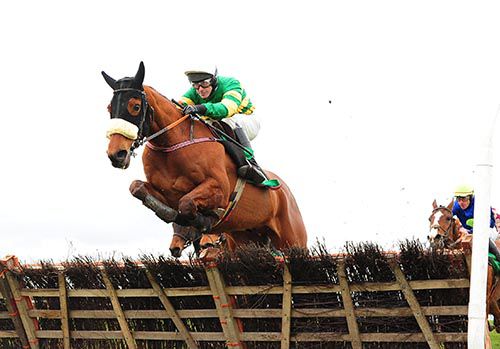 Drumlee and David Casey on their way to victory
