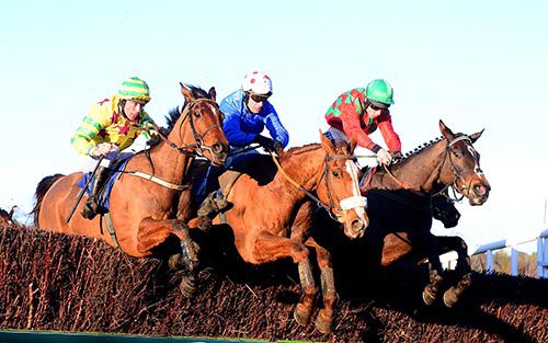 Easy Vic (centre) jumps the last with Forever Gold (left) and Boss Croaker (right)