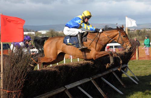 A Hardy Nailer is entered at Clonmel