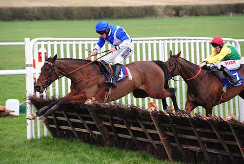 Who Let De Dogsout clears the last